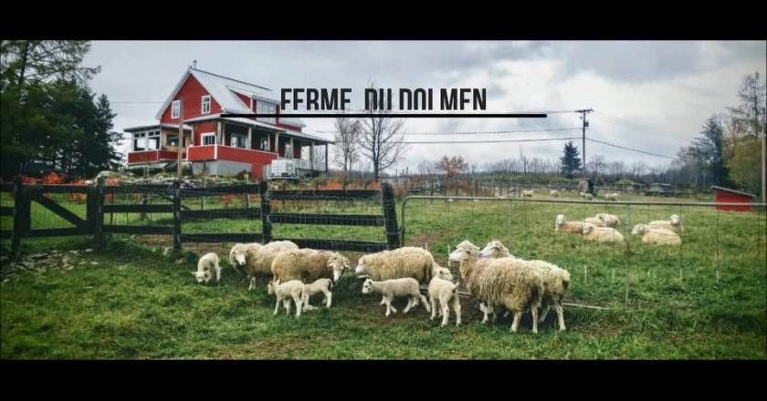 Ferme du Dolmen