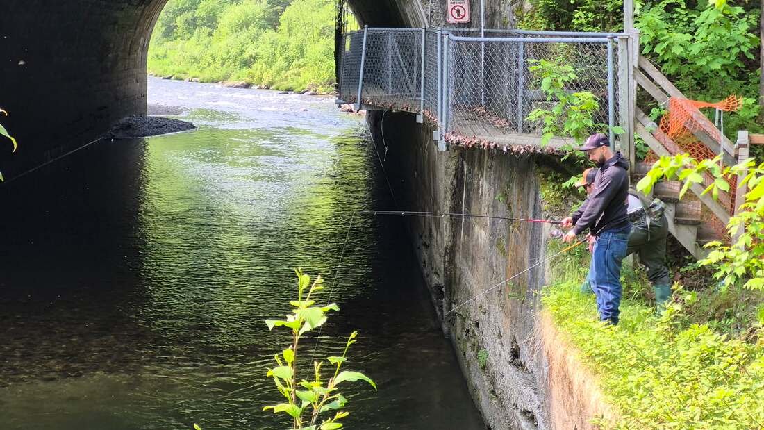 Parc des Chutes - Activités et attraits