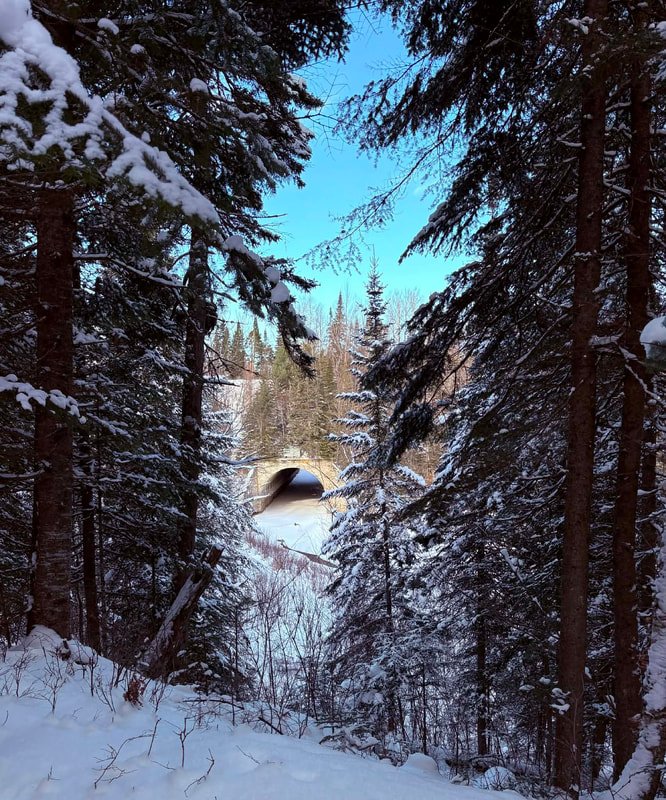 Parc des Chutes - Activités et attraits