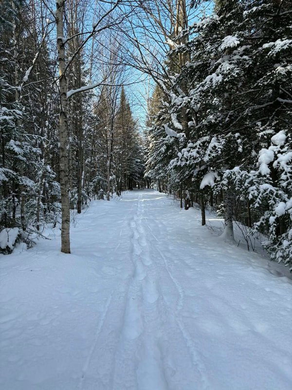 Parc des Chutes - Activités et attraits