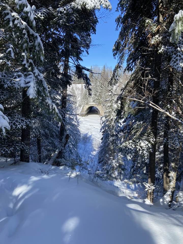 Parc des Chutes - Activités et attraits