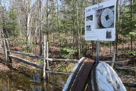 Parc des Chutes - Activités et attraits