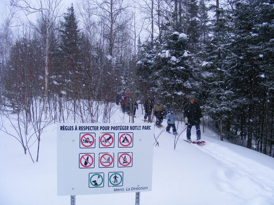 Parc des Chutes - Activités et attraits