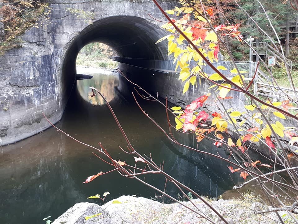 Parc des Chutes - Activités et attraits